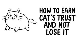 How to earn CAT'S TRUST and not lose it