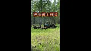 进山采野菜 #大山的生活 #记录真实生活 #新农人计划2025 今天挤出点时间进山采点野菜