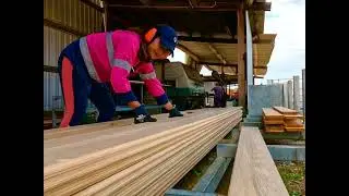 Beautiful Hoop Pine Tongue & Groove Flooring