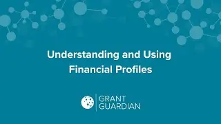 Understanding and Using Financial Profiles