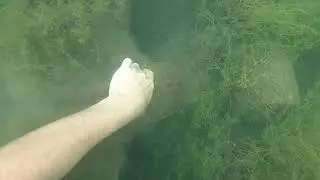 Diving at Christmas Cove and Platt River (Found 2 lost iPhones!)