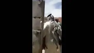 هوسات قبيله البو محمد  عشيره البو علي في مضيف العام