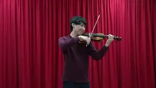 Violine - das beste Instrument der Welt