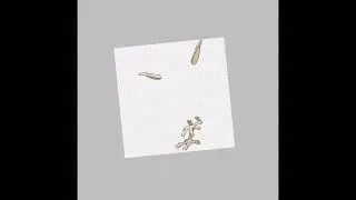 Redesigning Every Shiny Pok&eacute;mon: Part Thirty Three- Doduo | Dodrio