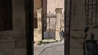 Back Entrance #gate