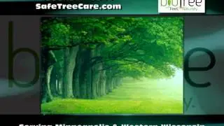 Safe Tree Care Oakdale MN - BioTree