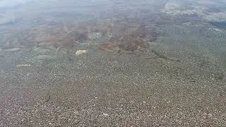 WMGG：水面のゆらぎ