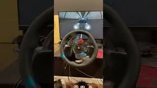 Finally I bought Logitech G29 steering wheel