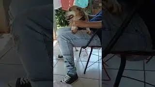 6 de janeiro de 2026