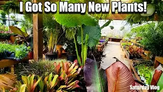 Shopping For Plants & Huge Plant Haul || Saturday Vlog