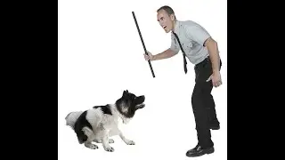 Бейтель - I kicked the dog