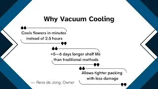 Weber Vacuum Cooling system in Retine Flowers