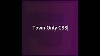 CSS Town