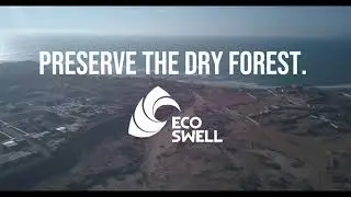 EcoSwell- Preserving the Dry Forest in Northern Peru