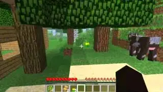 minecraft PC first day rage :(