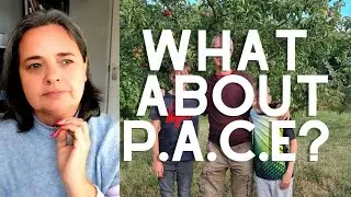 Мой опыт терапевтического родительства (PACE): плюсы и минусы