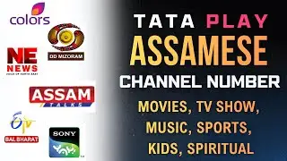Tata Play Assamese Channel Number 2026 | Assamese News, Kids, & Movies Channel Number on Tata Play