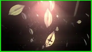 💕 8K Falling Glowing Leaves ~ 4320p Moving Background for Edits ~ AA-vfx Live Wallpaper 💕