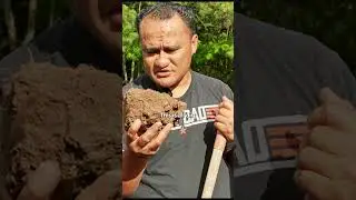 Farming in HAWAII Like a PRO What I Learned after 187 Days!