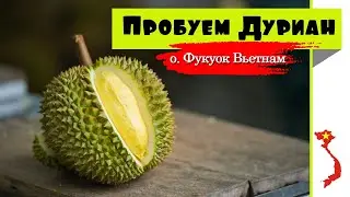 Пробуем дуриан | о. Фукуок Вьетнам [Vietnam]