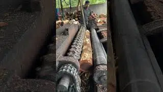 Sawmill dry wooden peeling 🌲|#shortsfeed #woodwork #peeling