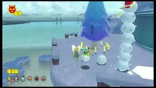 Bowsers Fury - Lake Lapcat - Plessie Medal Mania