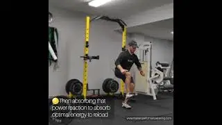 Performance Fitness Training-Stability and Power Training