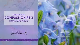 Wisdom quotes| COMPASSION Part 2| Reflective quotes to 'grow your soul'!