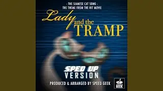 The Siamese Cat Song (From