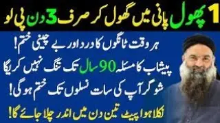 Rumi Quotes Urdu //Motivational Quotes About Life Urdu //Hikmat Ki Batain //Best Urdu Quotes of life