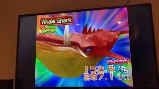 Fishing Master Wii (2007) - Catching a Whale Shark