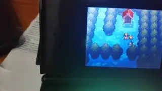 Bosco di lecci EVENTO PICHU parte 1