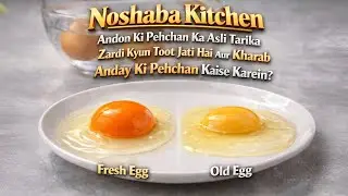 Why Farm Eggs Yolk Usually Spoil | Difference Between New and Old Eggs