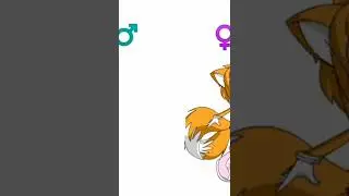 Male Vs Female // Sonic The Hedgehog