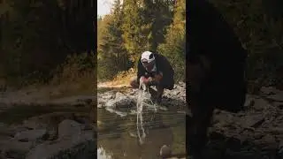 MAJESTY Spring apparel collection #1