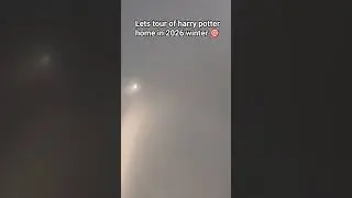 Tour of harry Bhai ...... #comedy #shortsfeed #funny