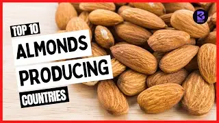 Top 10 Largest Almonds Producing Countries in The World 2021 #almond #almonds