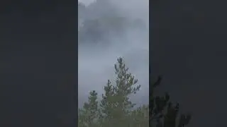 langdale moor fire