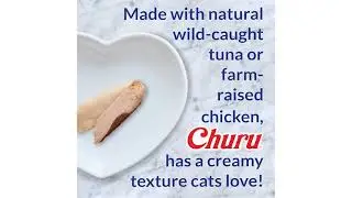 INABA Churu Cat Treats Review: Worth the Hype? A Deep Dive into Quality & Benefits