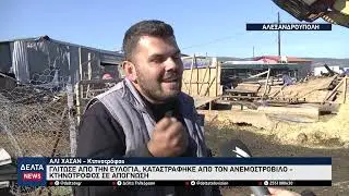 Αλεξανδρούπολη: Γλίτωσε από την ευλογιά, καταστράφηκε από τον ανεμοστρόβιλο -Κτηνοτρόφος σε απόγνωση