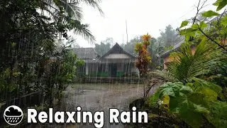 Relaxing Village Rain Ambience ASMR to Fall Asleep Fast and Release Stress 🌧️