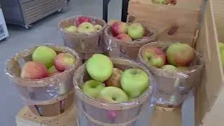 Cider Festival in PA