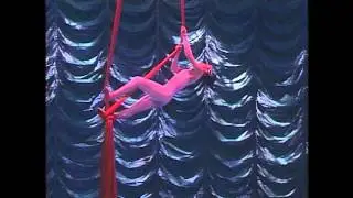 Single Aerial silk (As Seen on M/V Mariner of the Seas, RCCL)