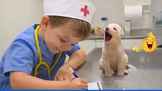 Super Funny Dog Video Clips  😹🐶 The Funniest Cat & Dog Moments Compilation 😁