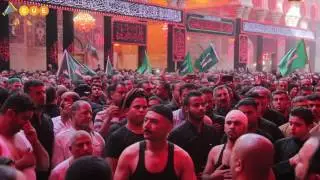 موكب عزاء ركضة طويريج 1438هـ الرادود السيد جعفر الحسيني الطويرجاوي