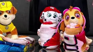 PAW Patrol Hugger Plush with 46