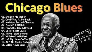 Chicago Blues Relaxation Playlist | Smooth Blues Sound
