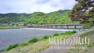 Hidden trail in Arashiyama, the famous tourist spot in Kyoto.【4K】