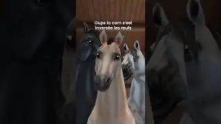 Les VIEUX CHEVAUX se REBELLENT sur SSO 😂 #ssofr #starstableonline #sso #horse #starstable