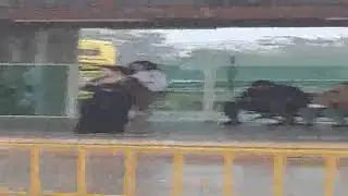 BRT Brasília DF Gama